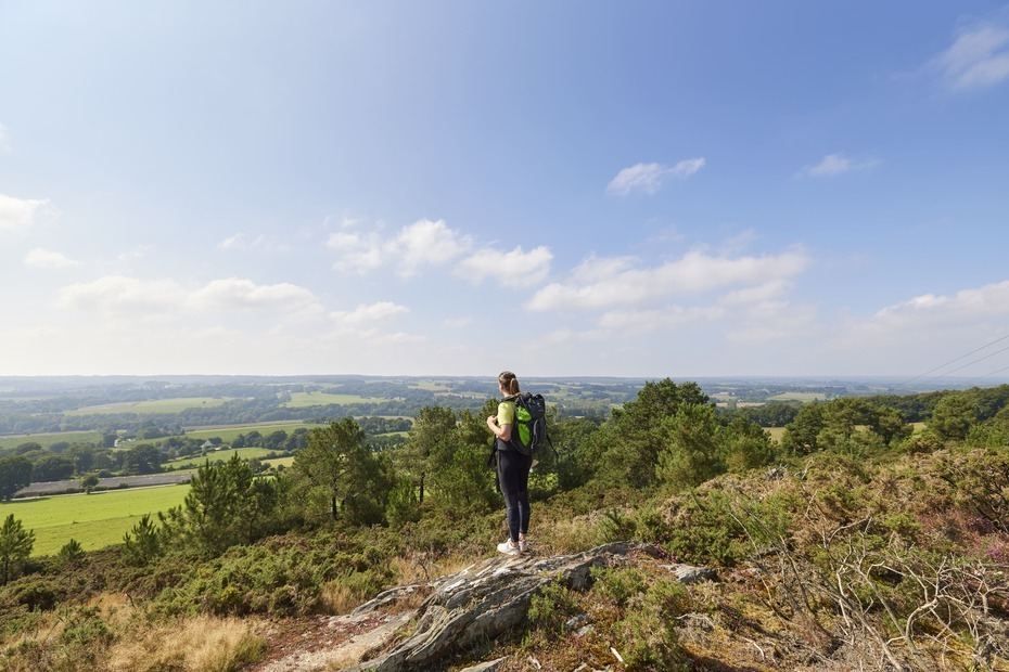 Landes de Lanvaux