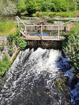 cours-d-eau-claie-cadoudal-plumelec (5)