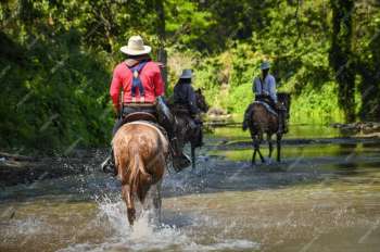 impa_randonnee-equestre-freepik.jpg