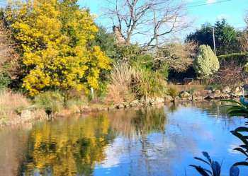 impg_meuble-plumelin-jardins-cantine-entre-deux--1-.jpg