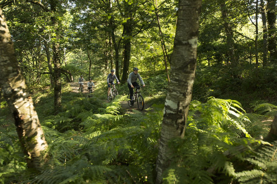 circuit-vtt-coeur-bretagne